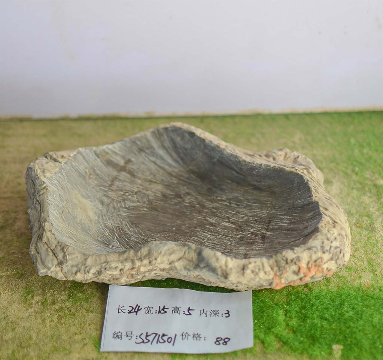 s571501