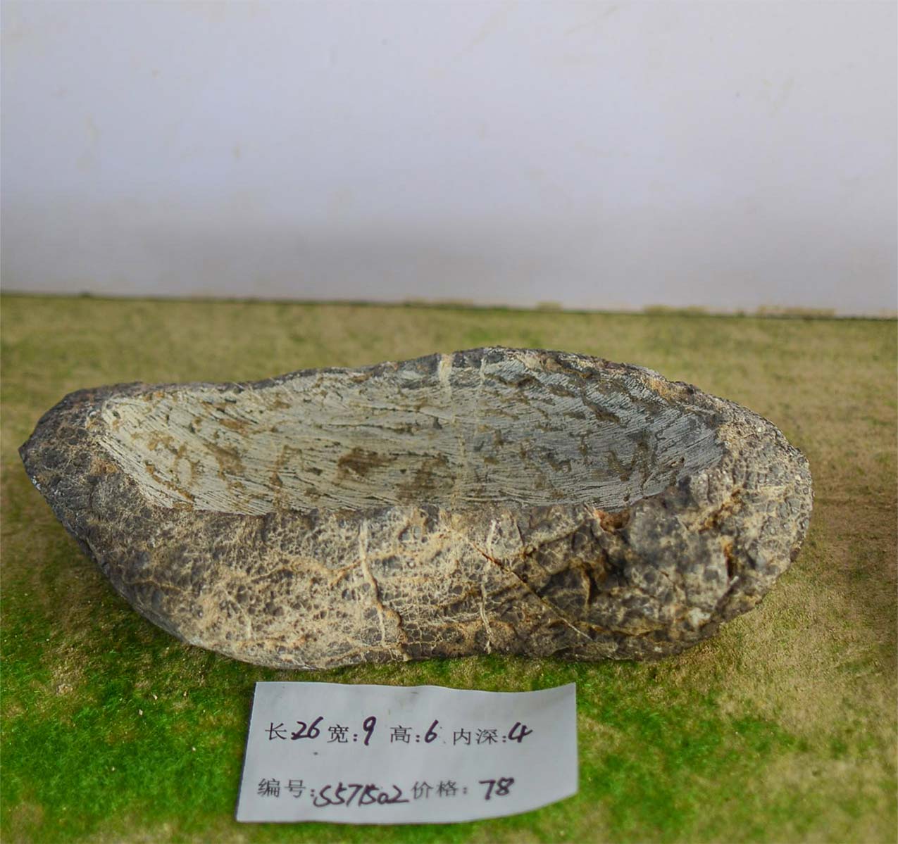 s571502