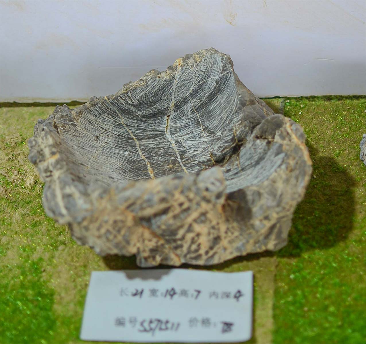 s571511