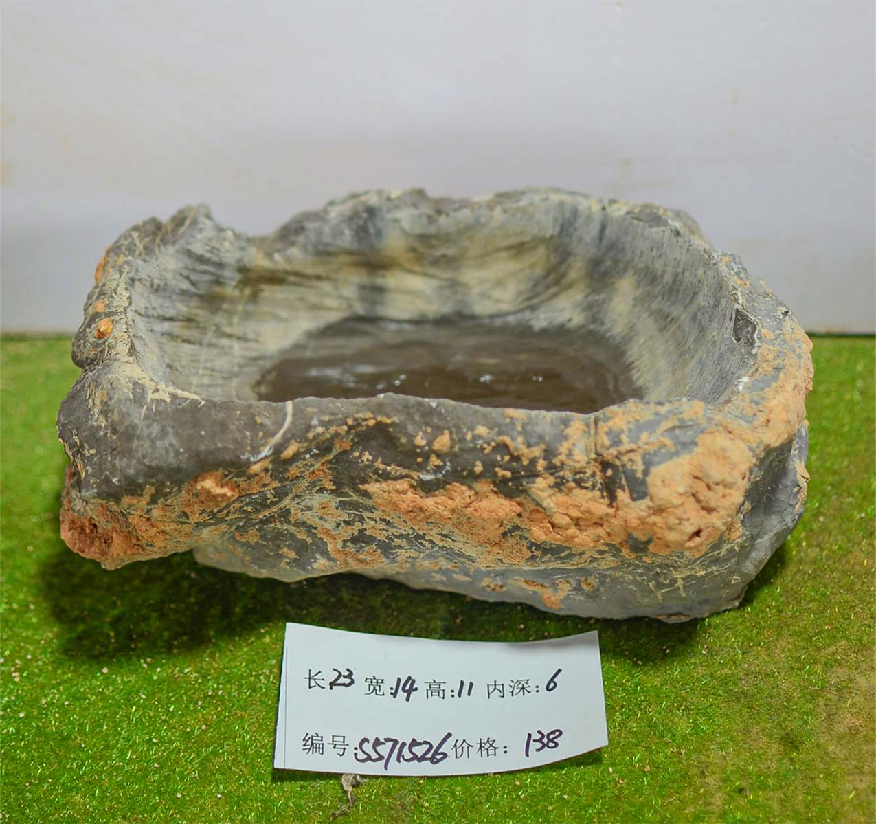 s571526