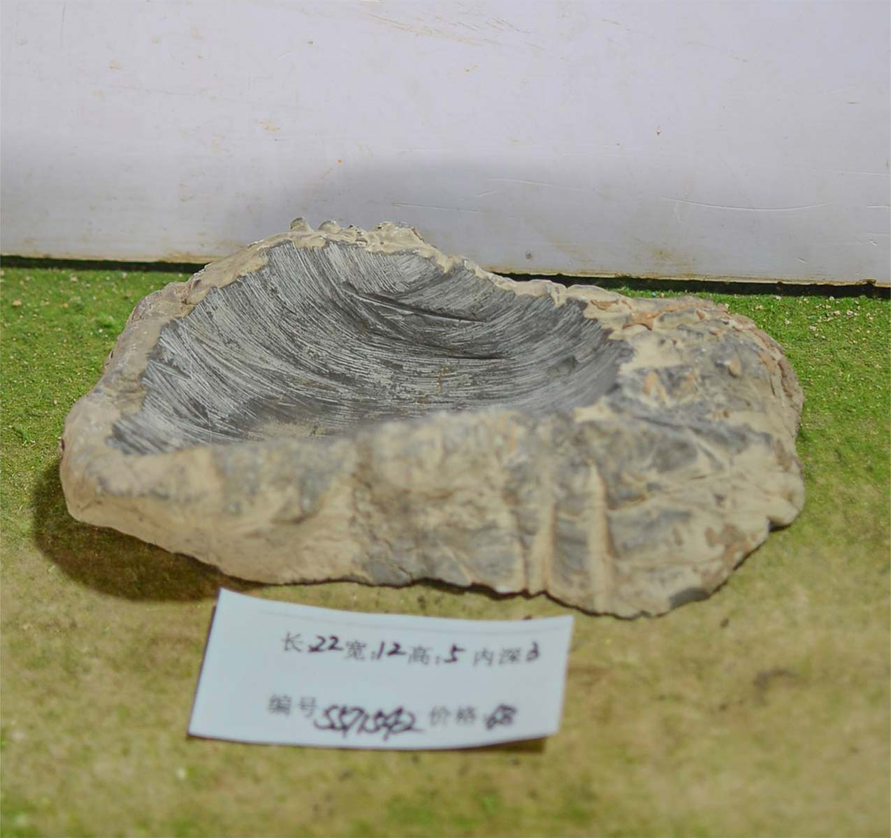 s571542