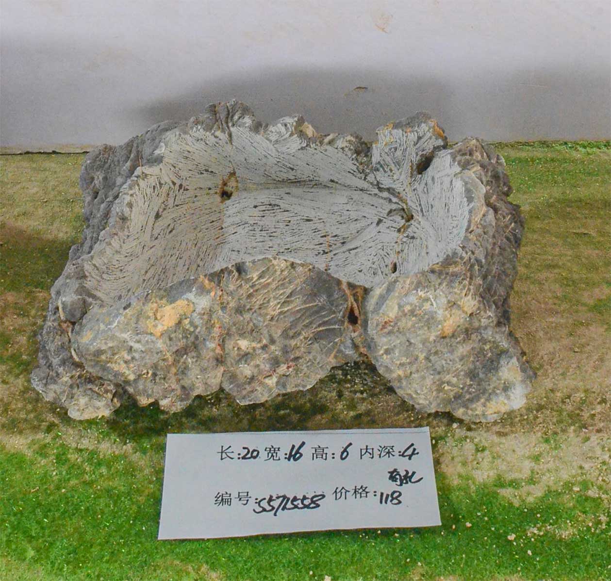 s571558