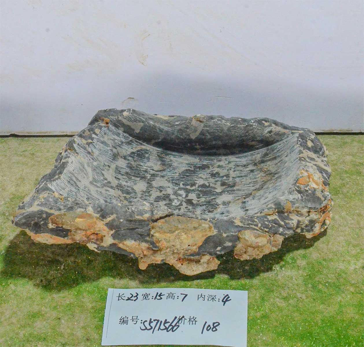 s571566