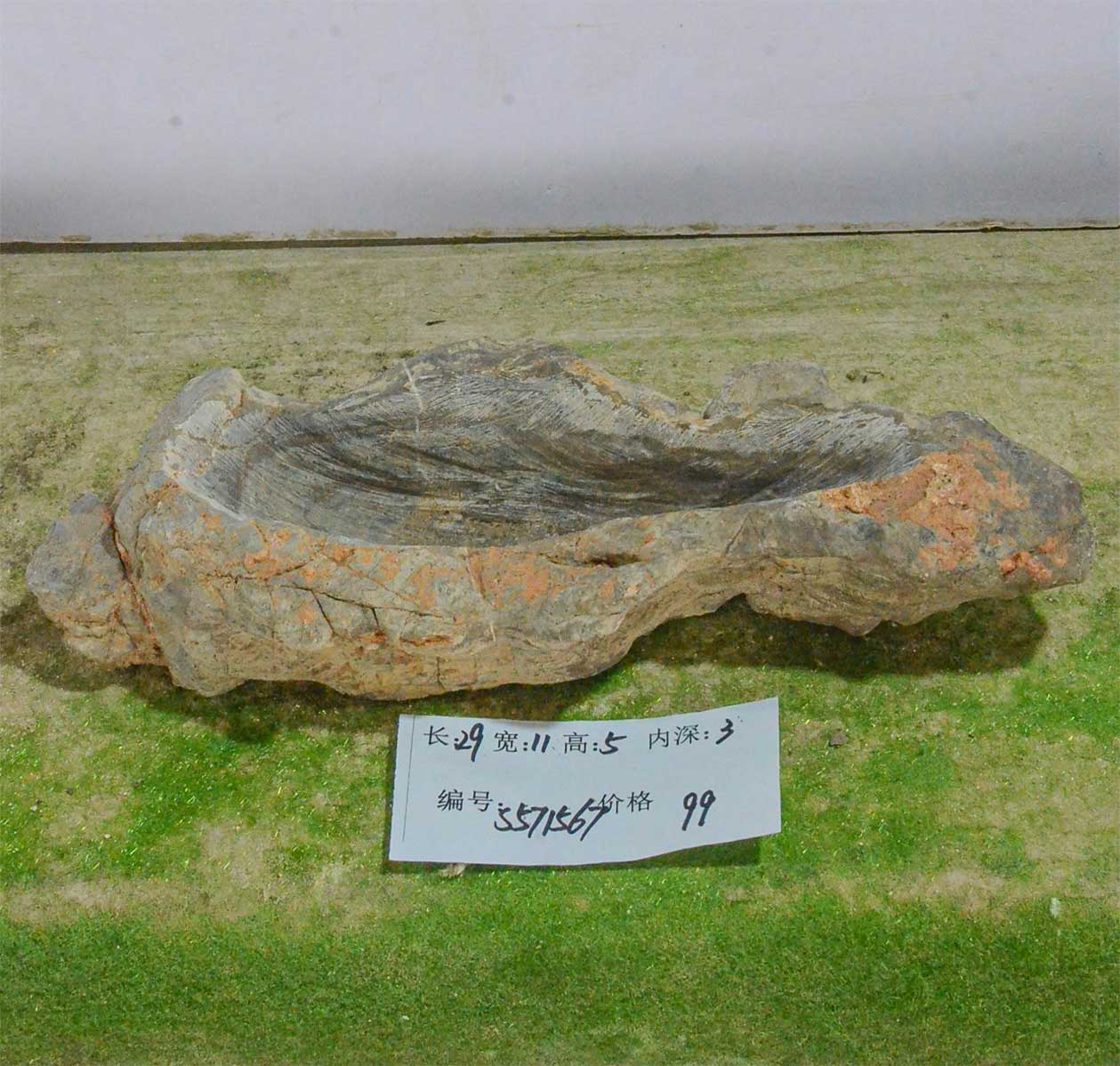 s571567