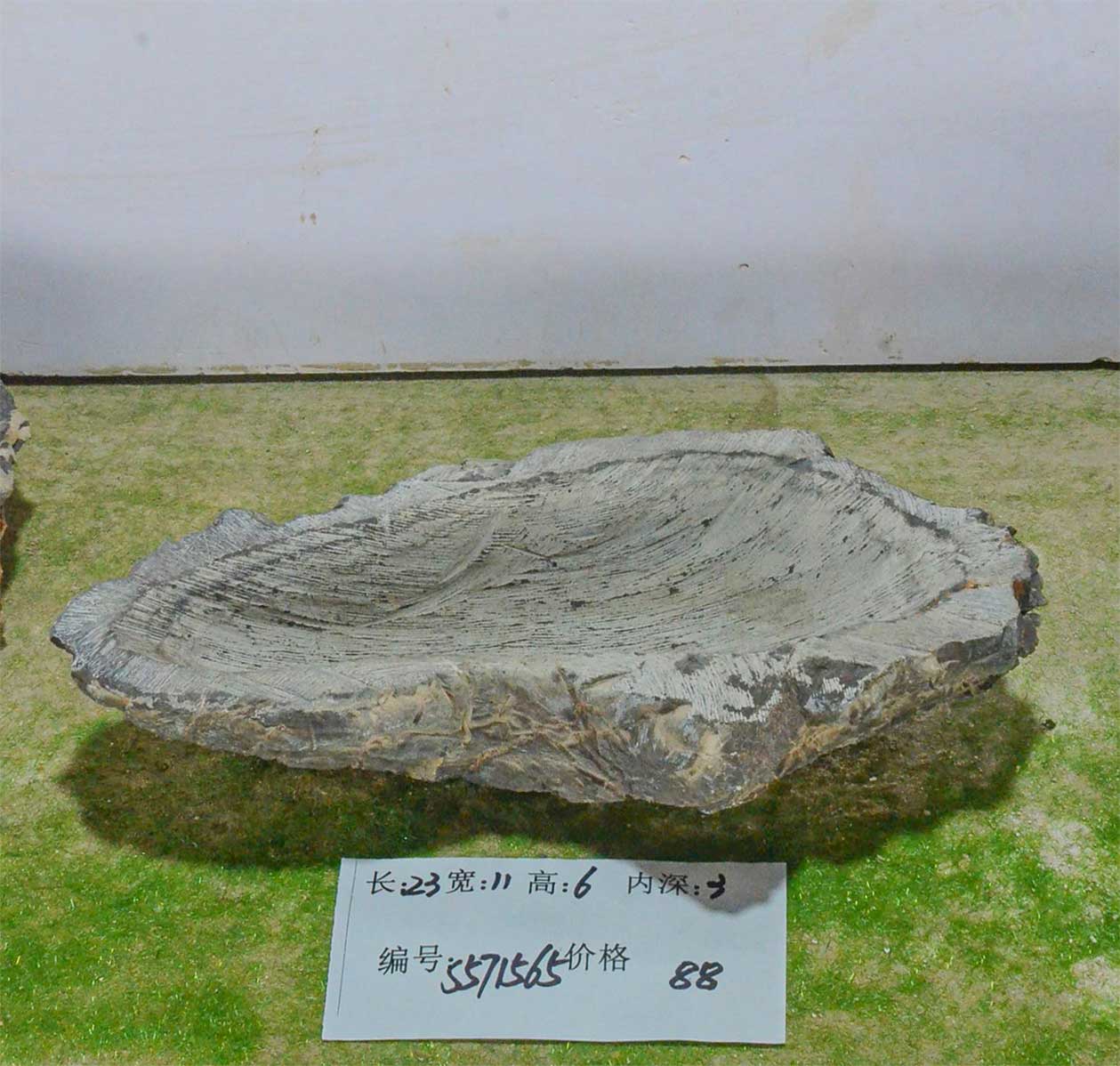 s571565