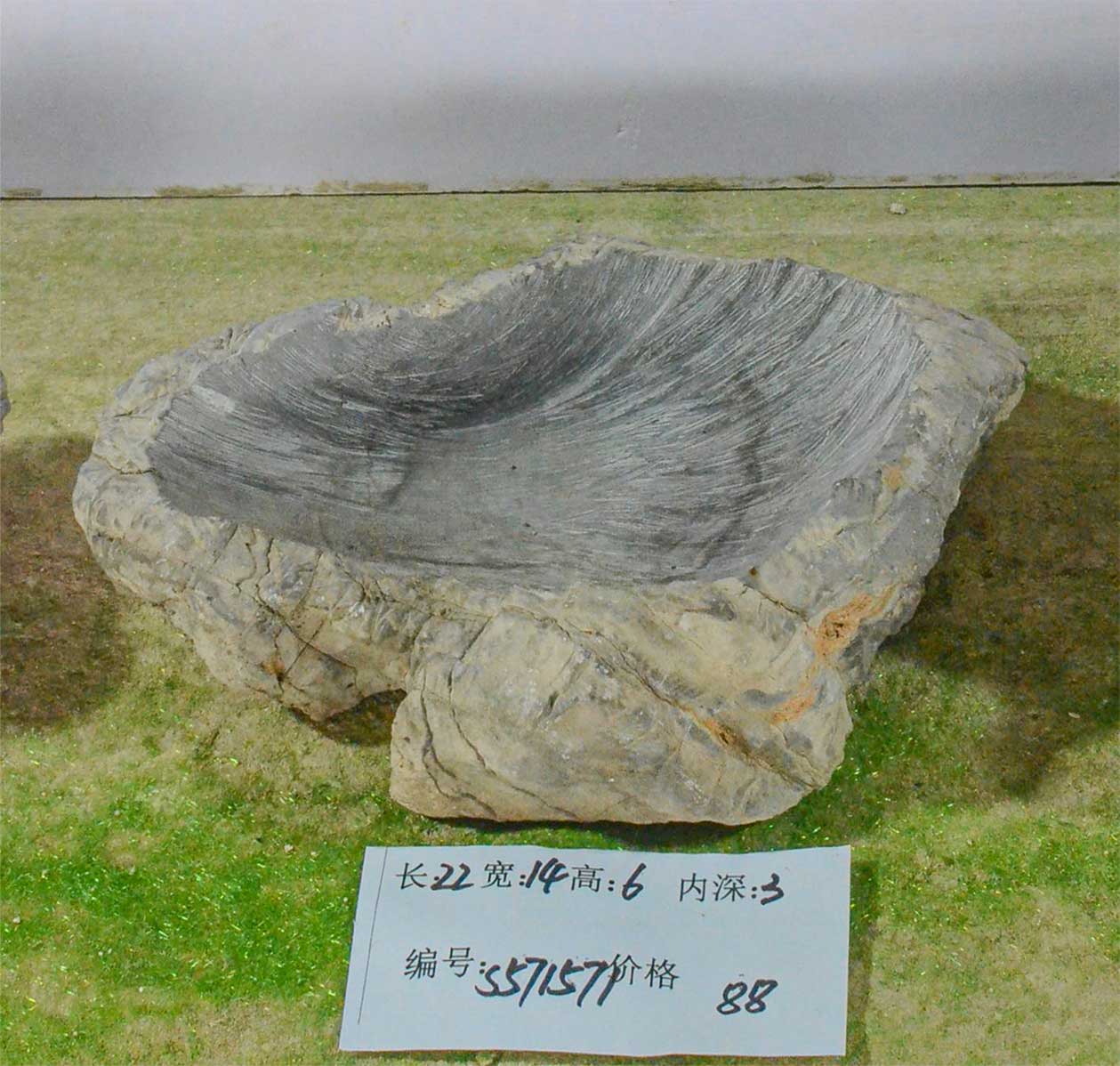 s571571