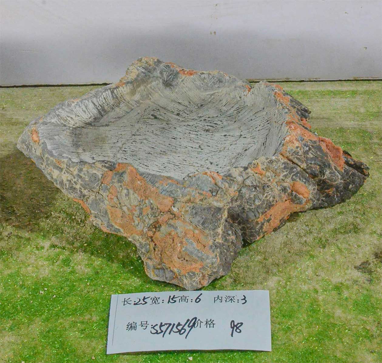 s571569