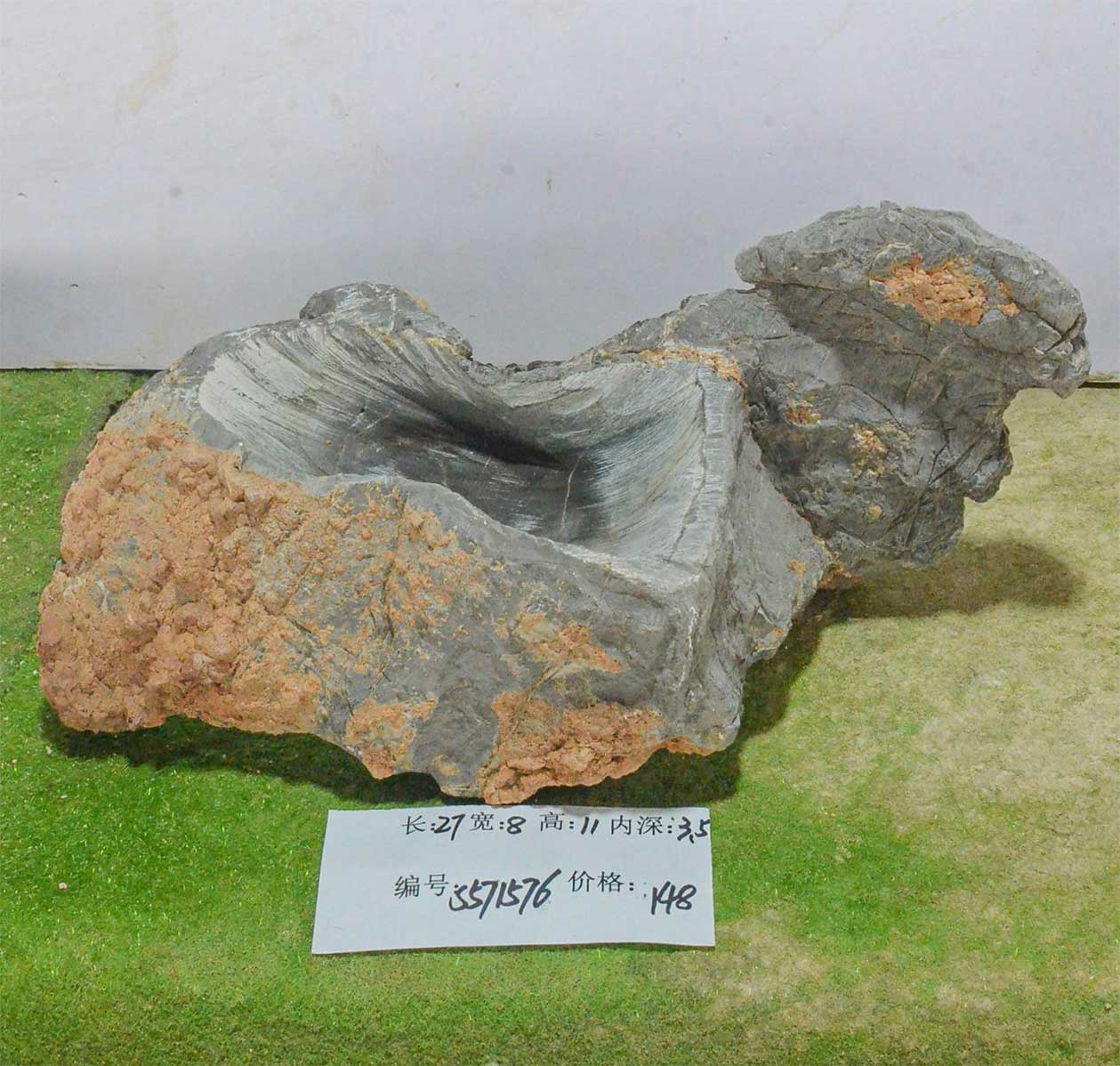 s571576