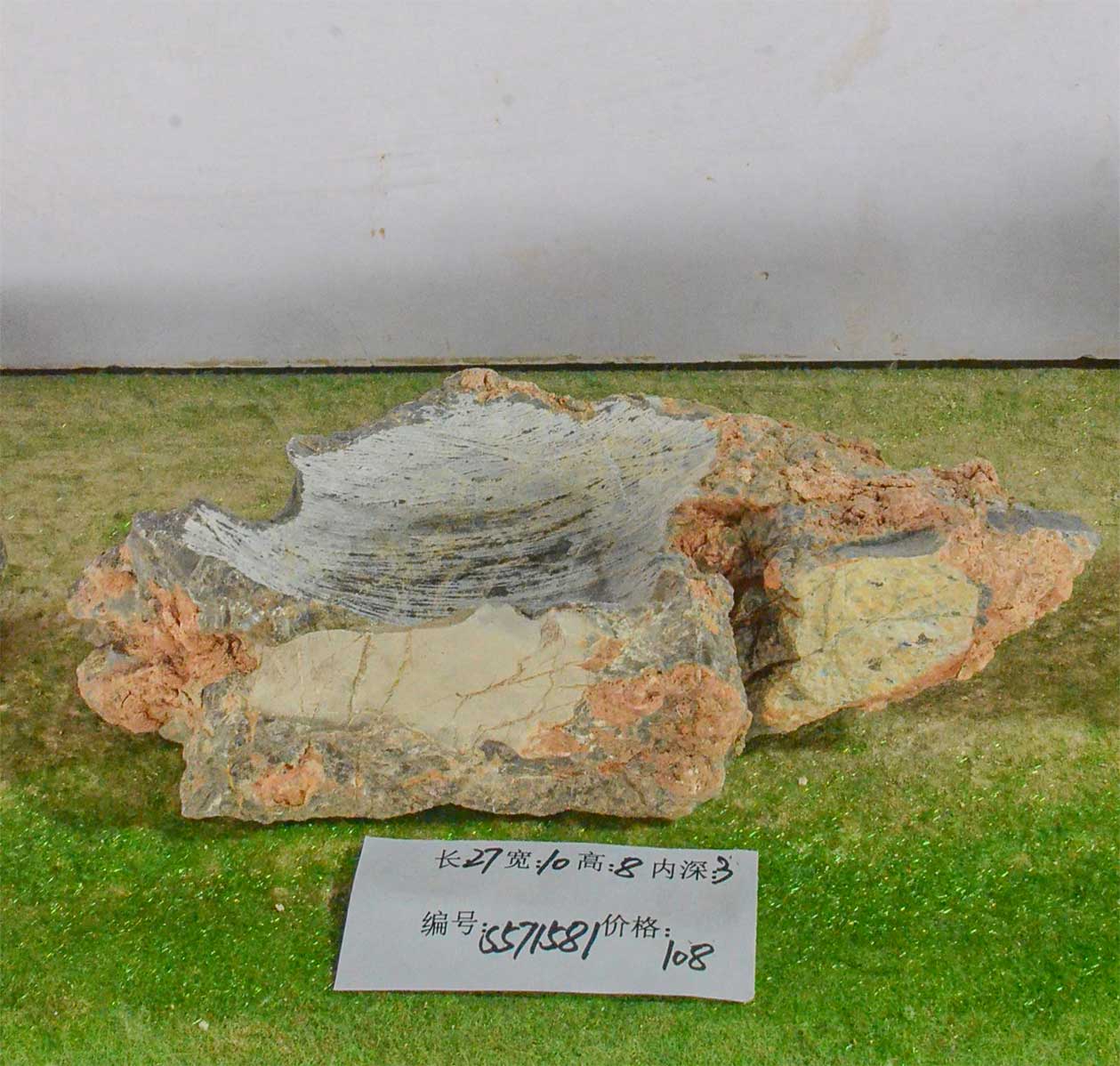 s571581