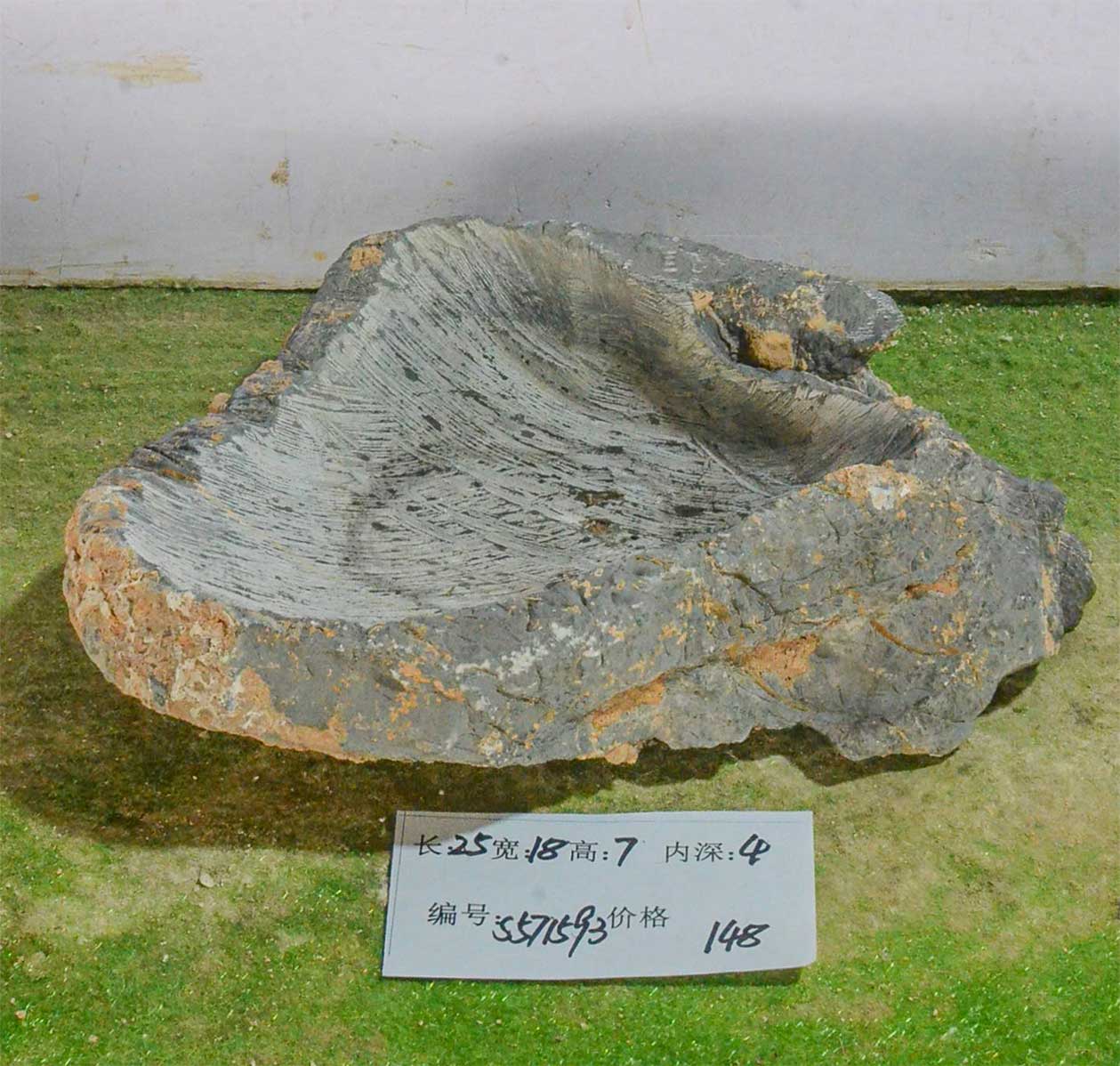 s571593