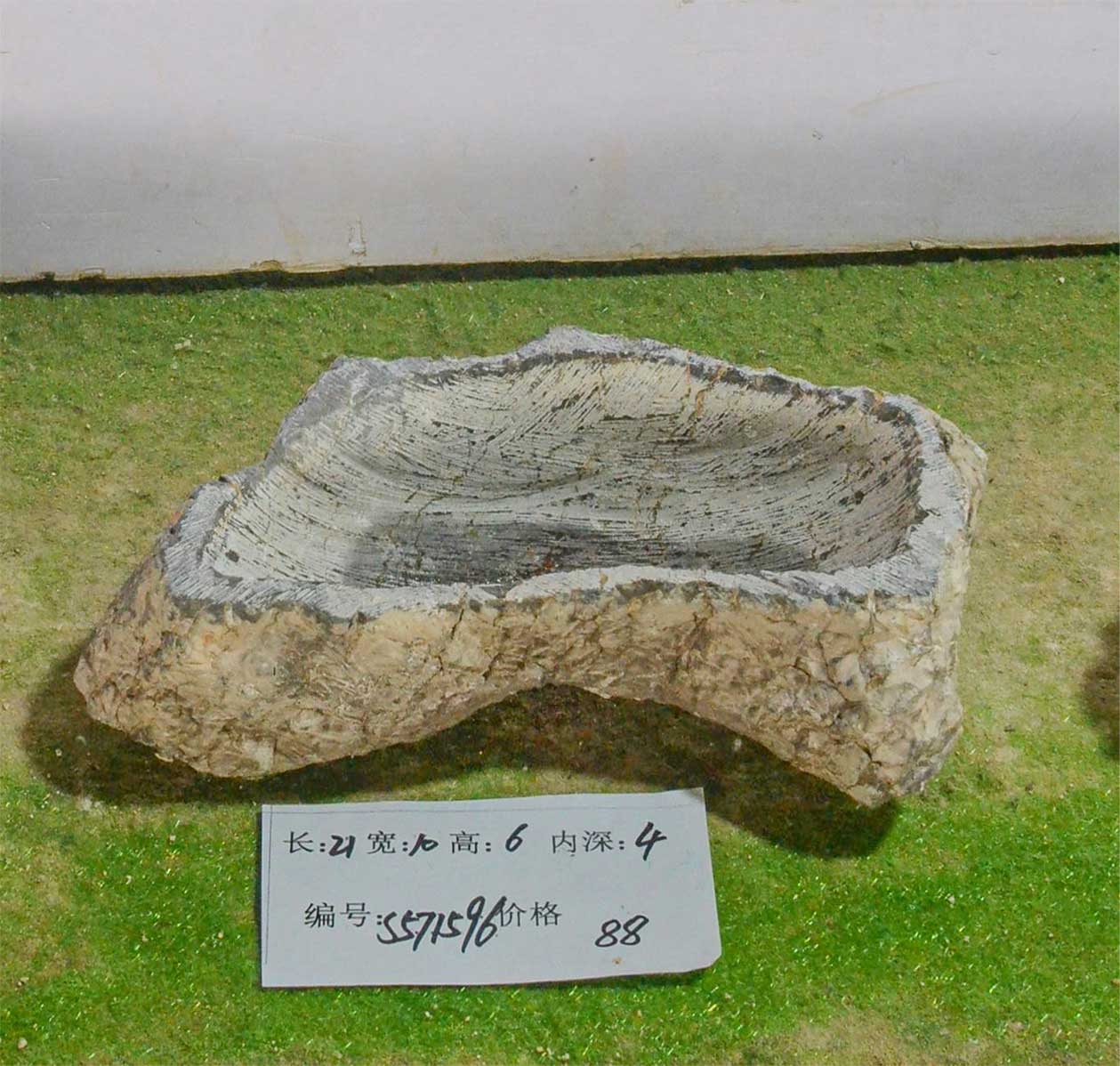 s571596