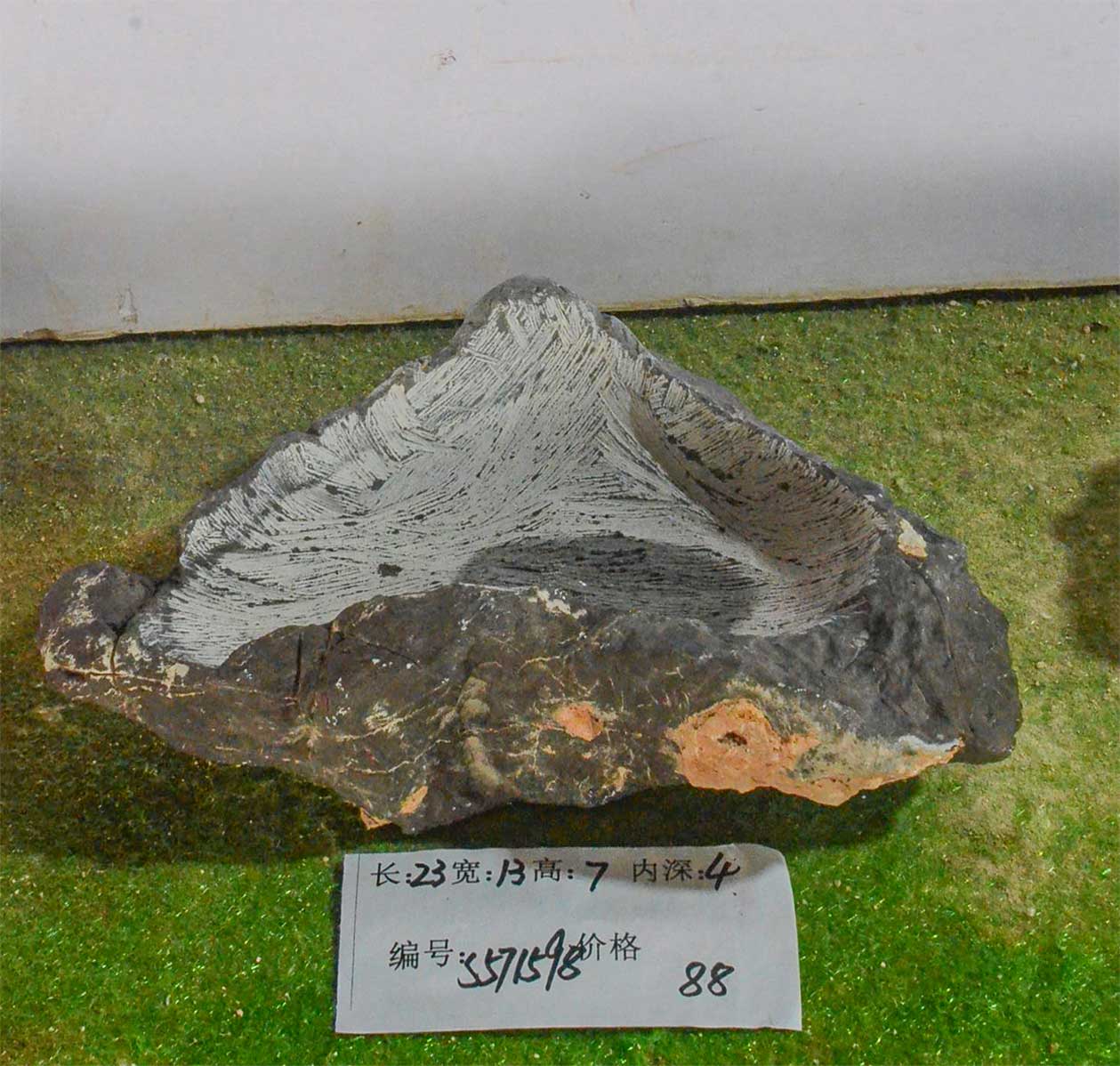 s571598
