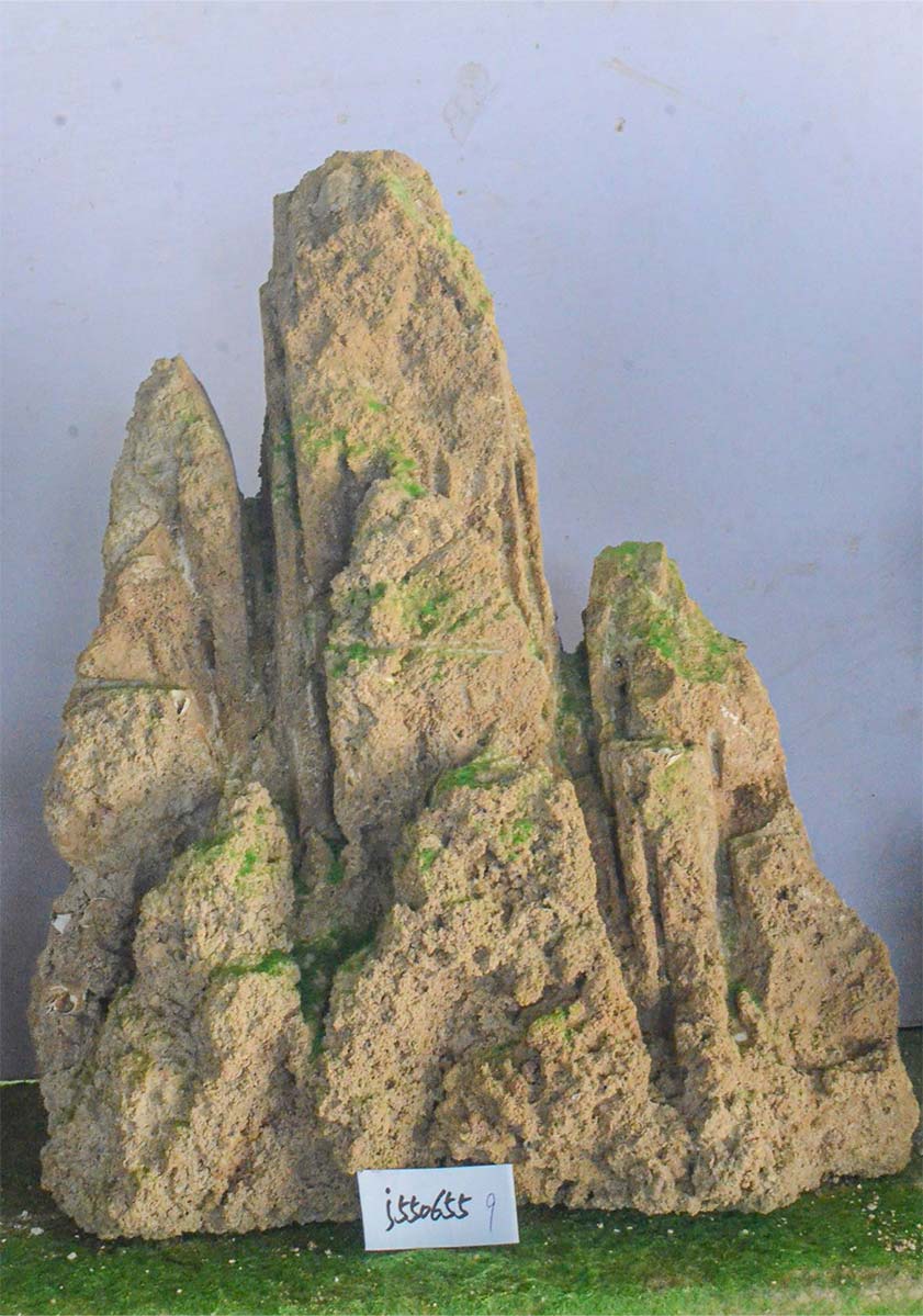 j550655