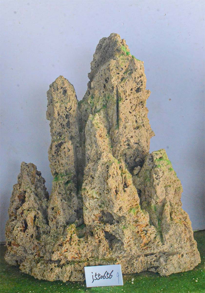 j550656