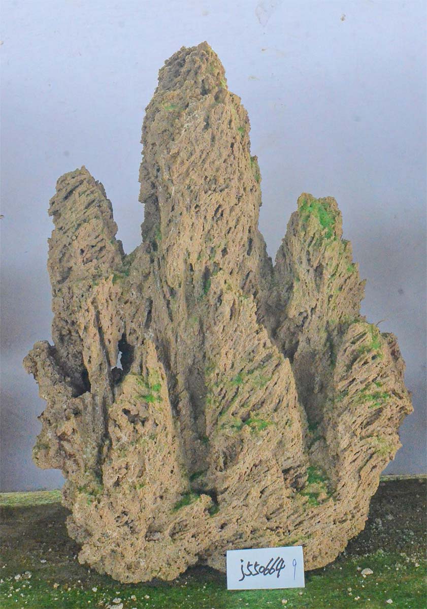 j550664