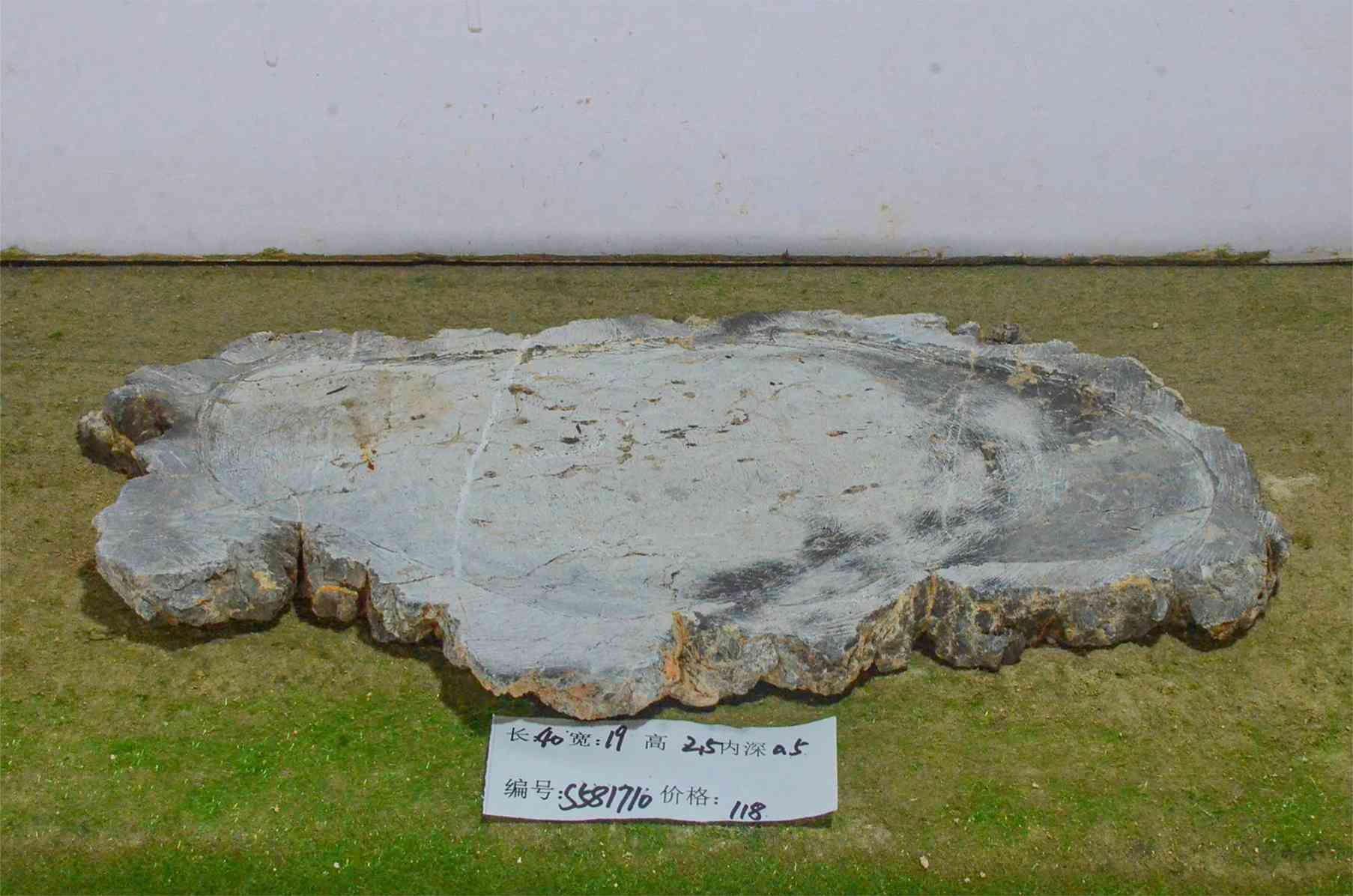 s581710
