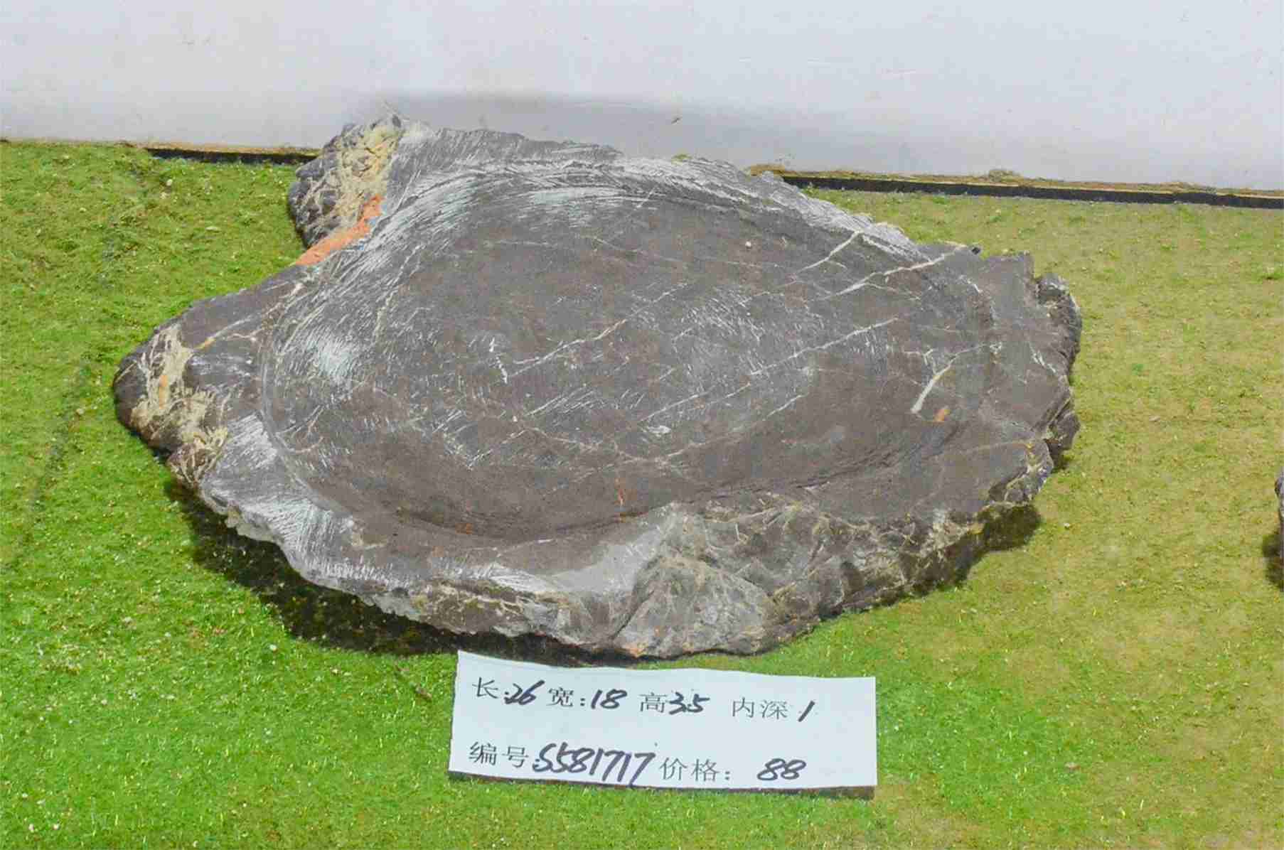 s581717