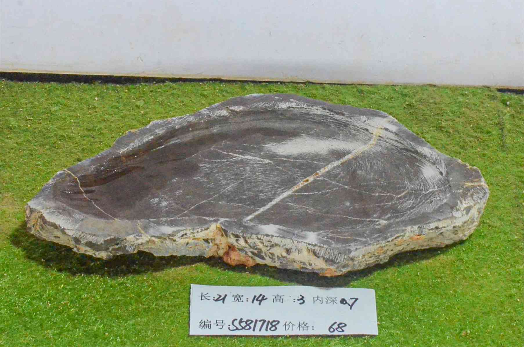s581718