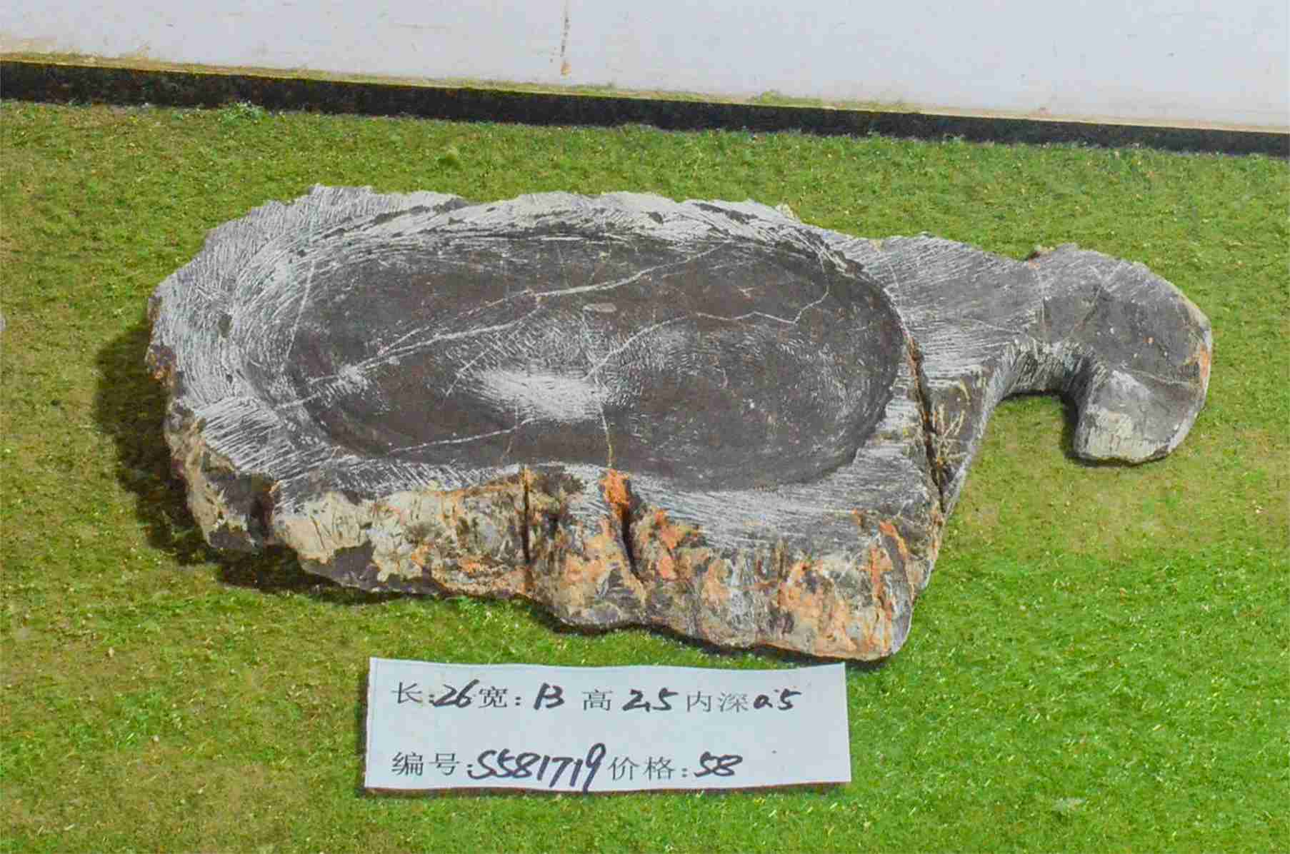 s581719