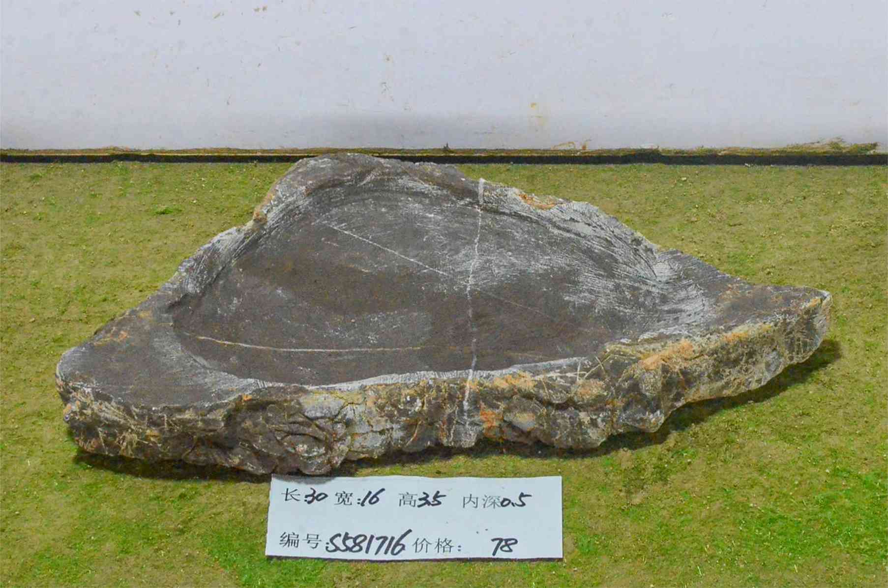 s581716
