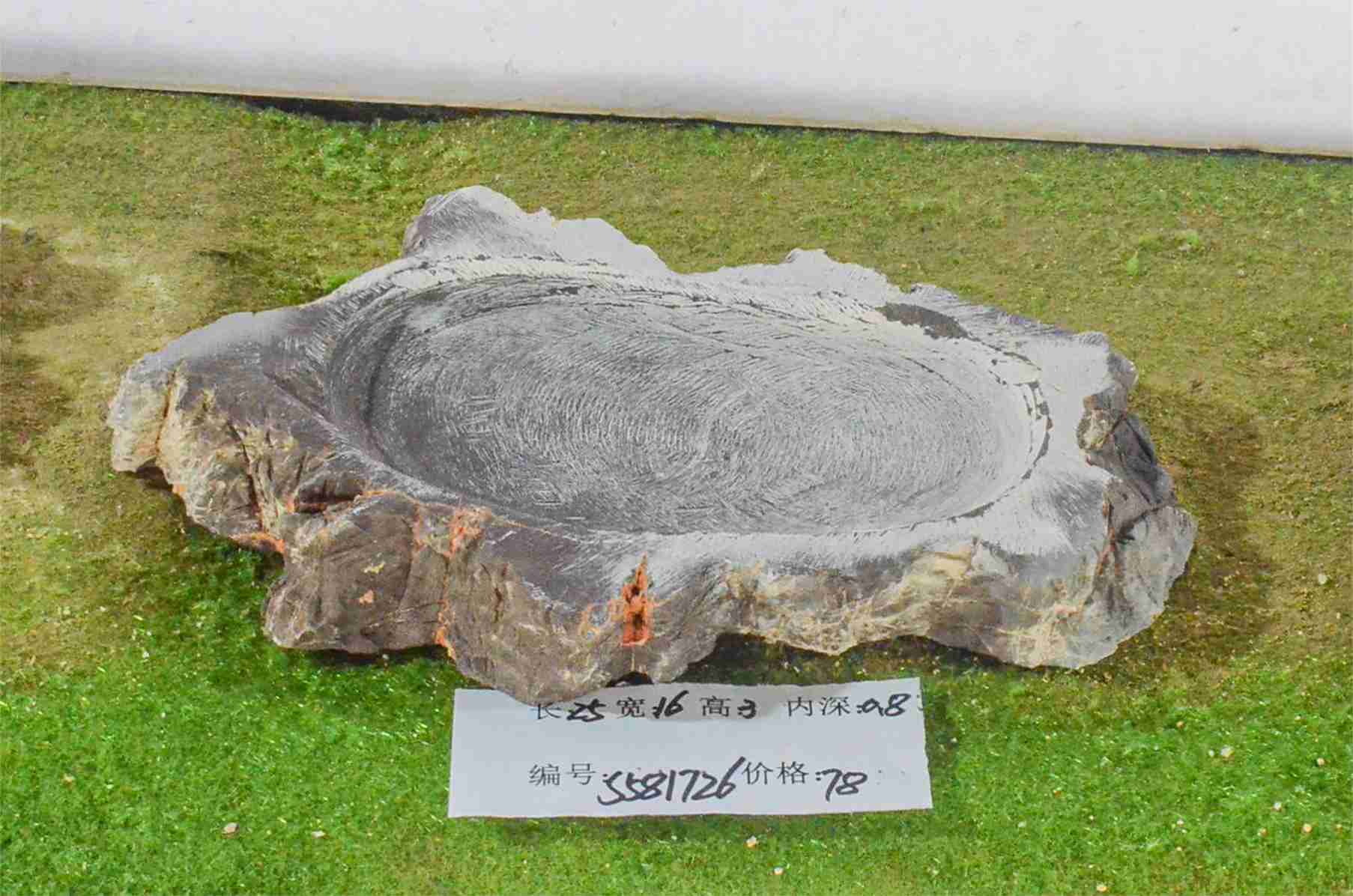 s581726