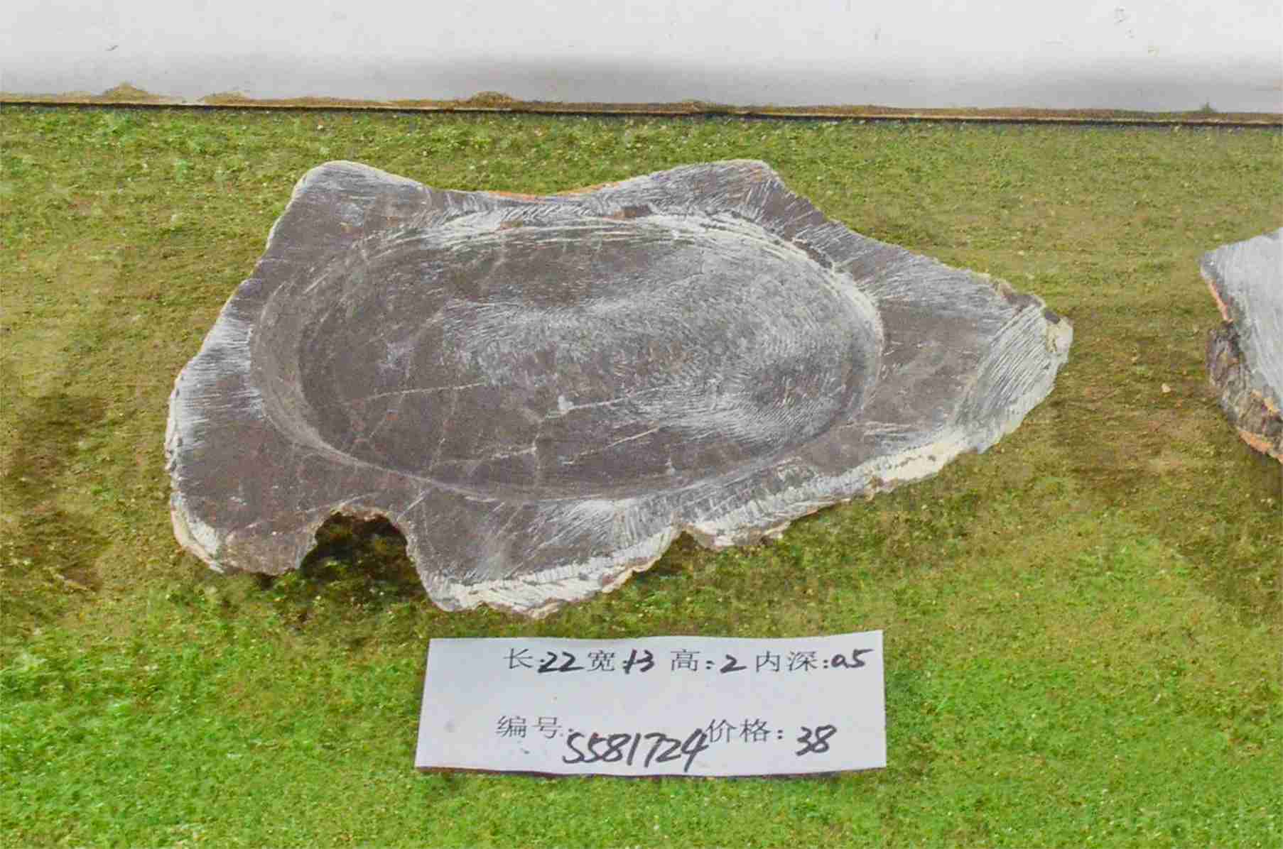 s581724