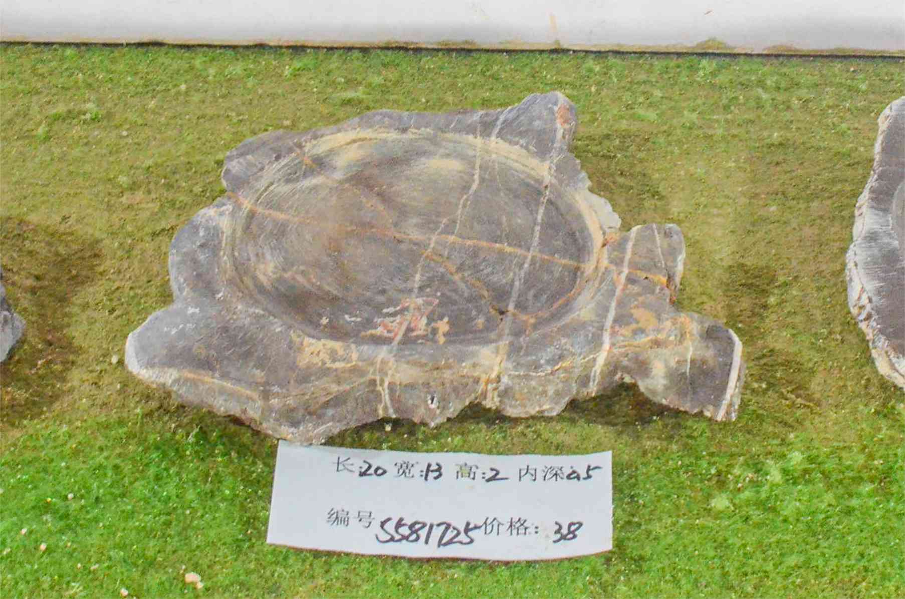 s581725