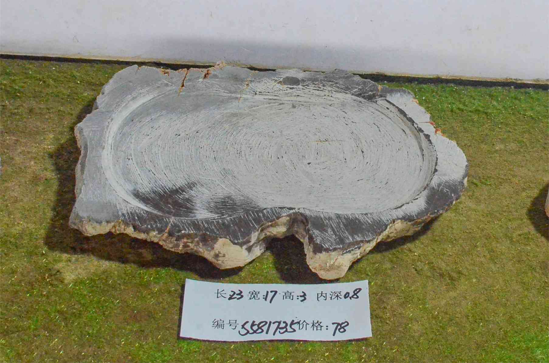 s581735