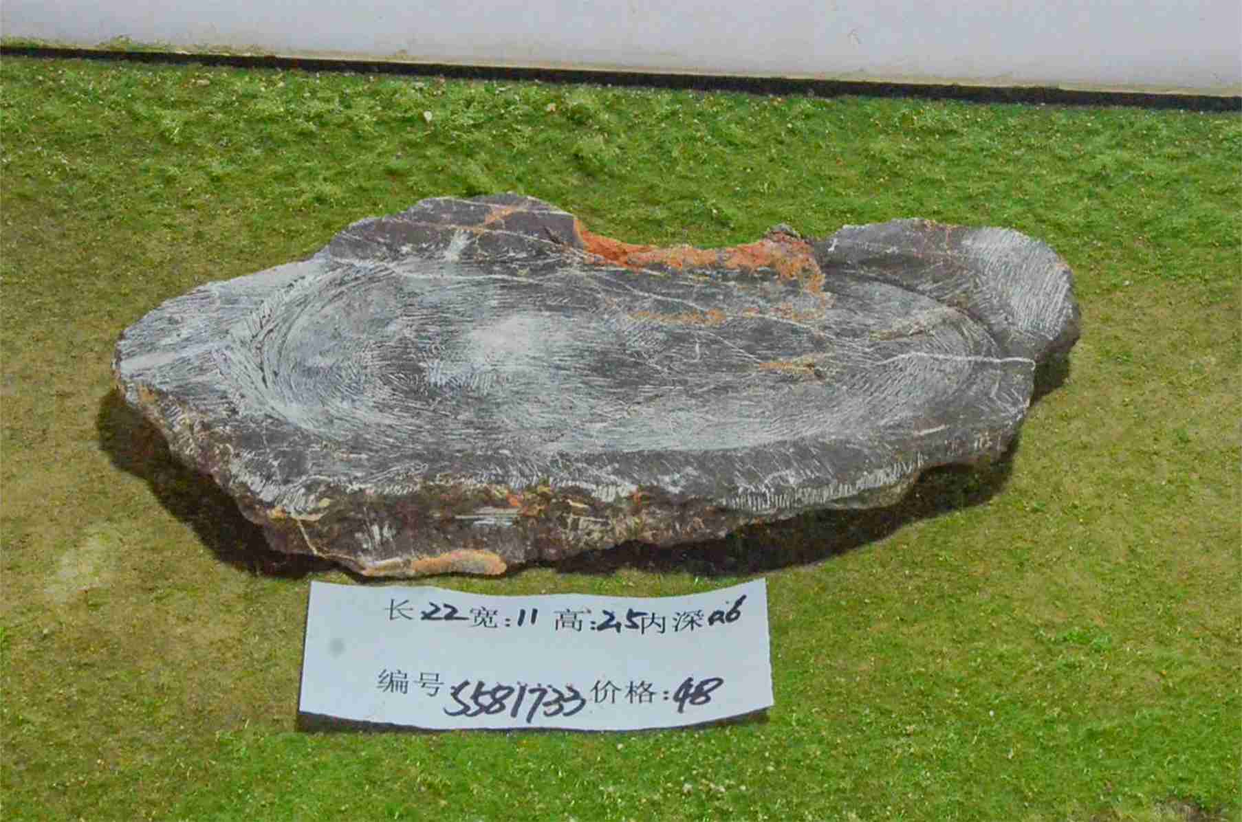 s581733