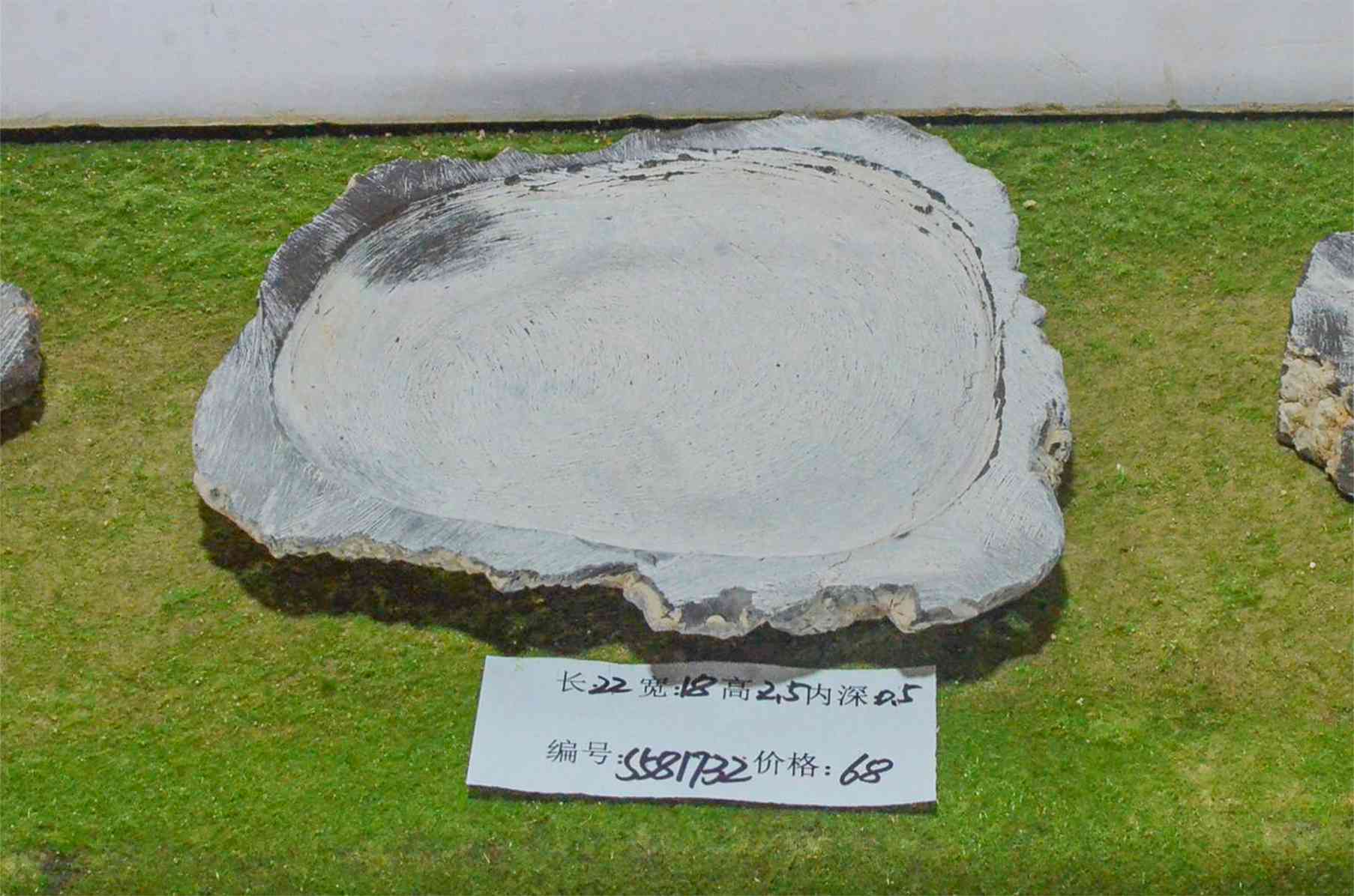 s581732