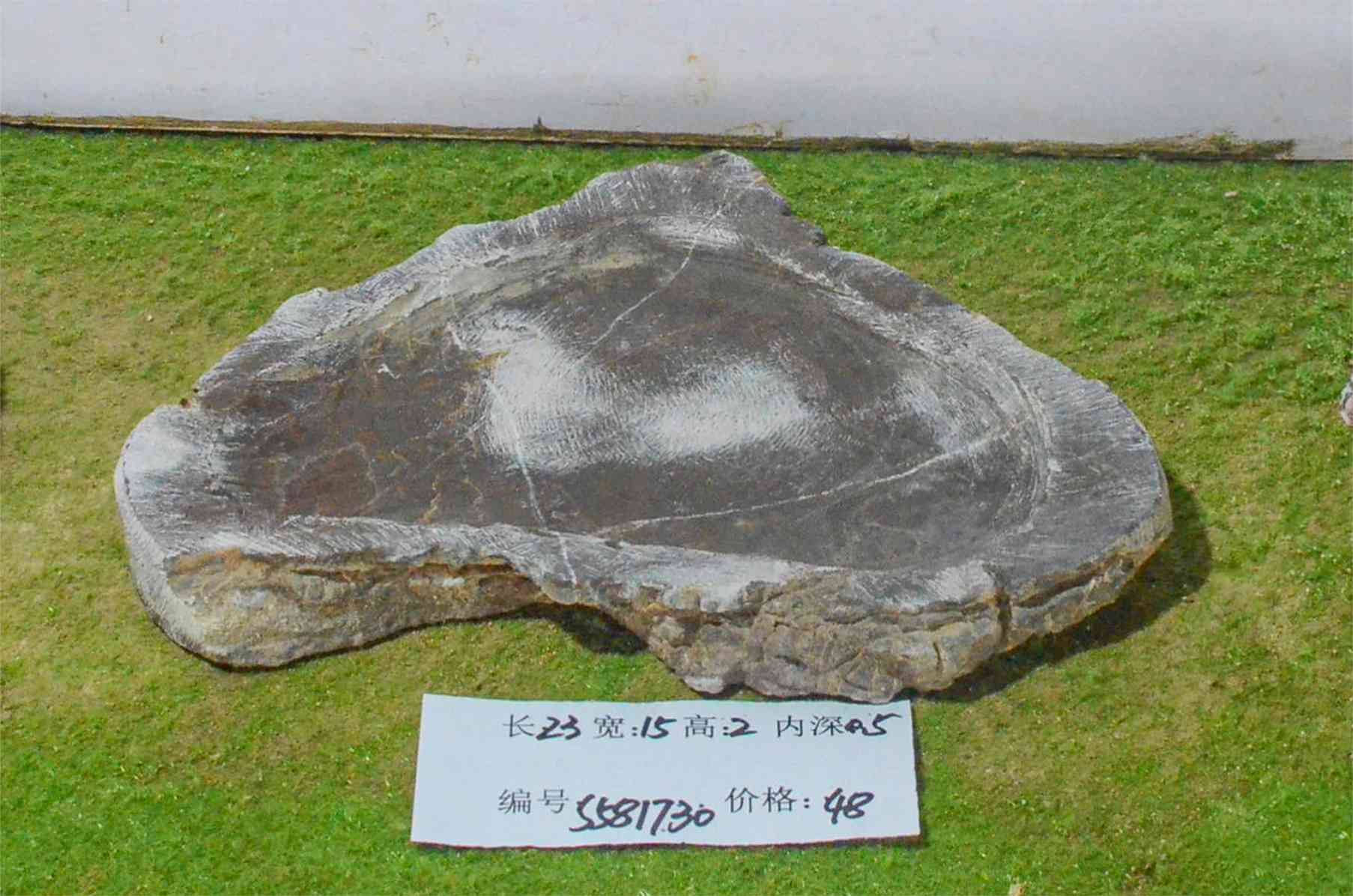 s581730