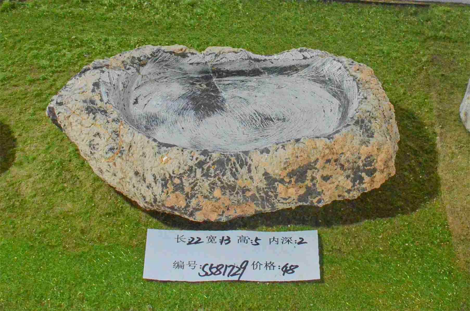 s581729