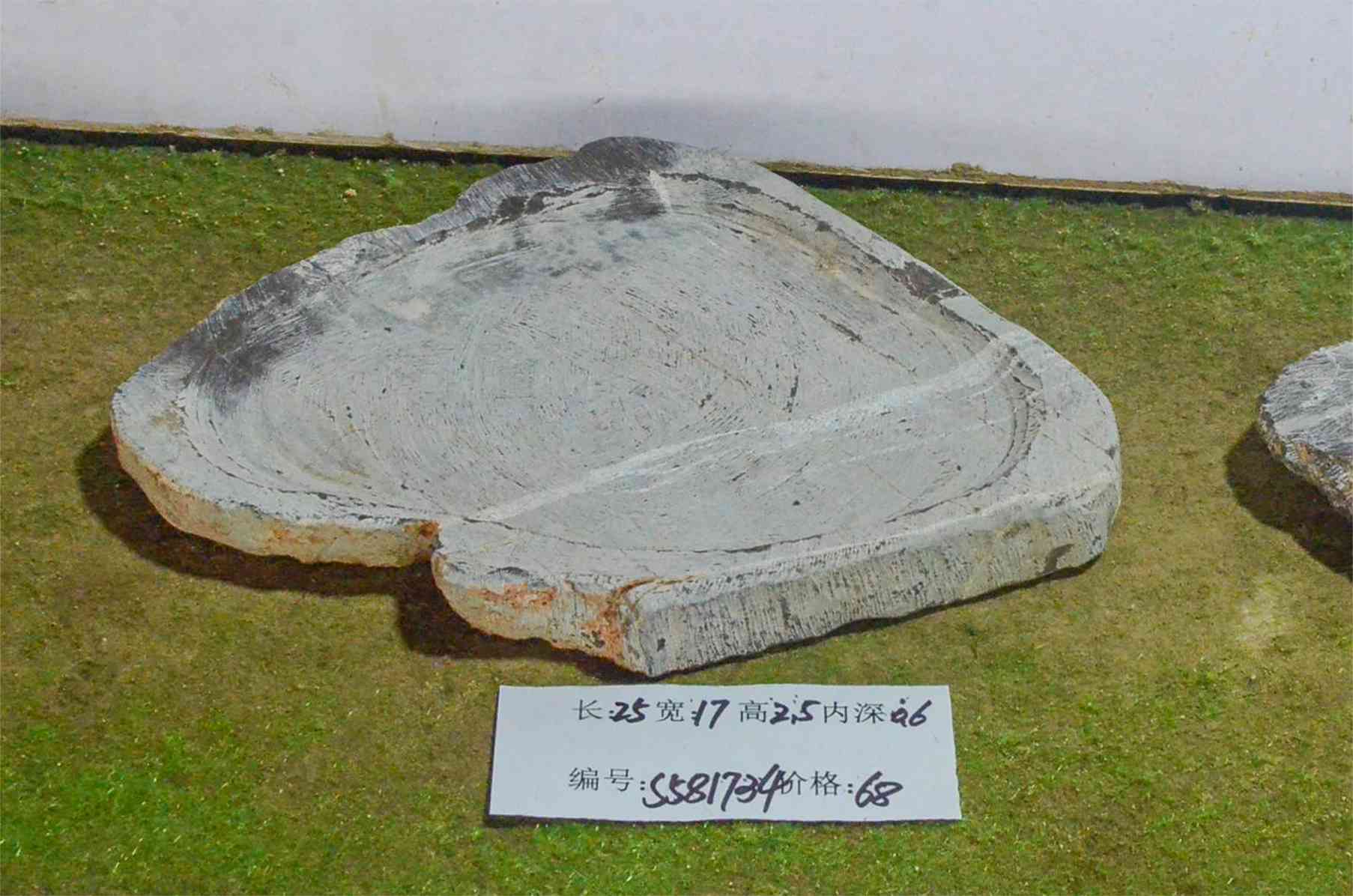 s581734