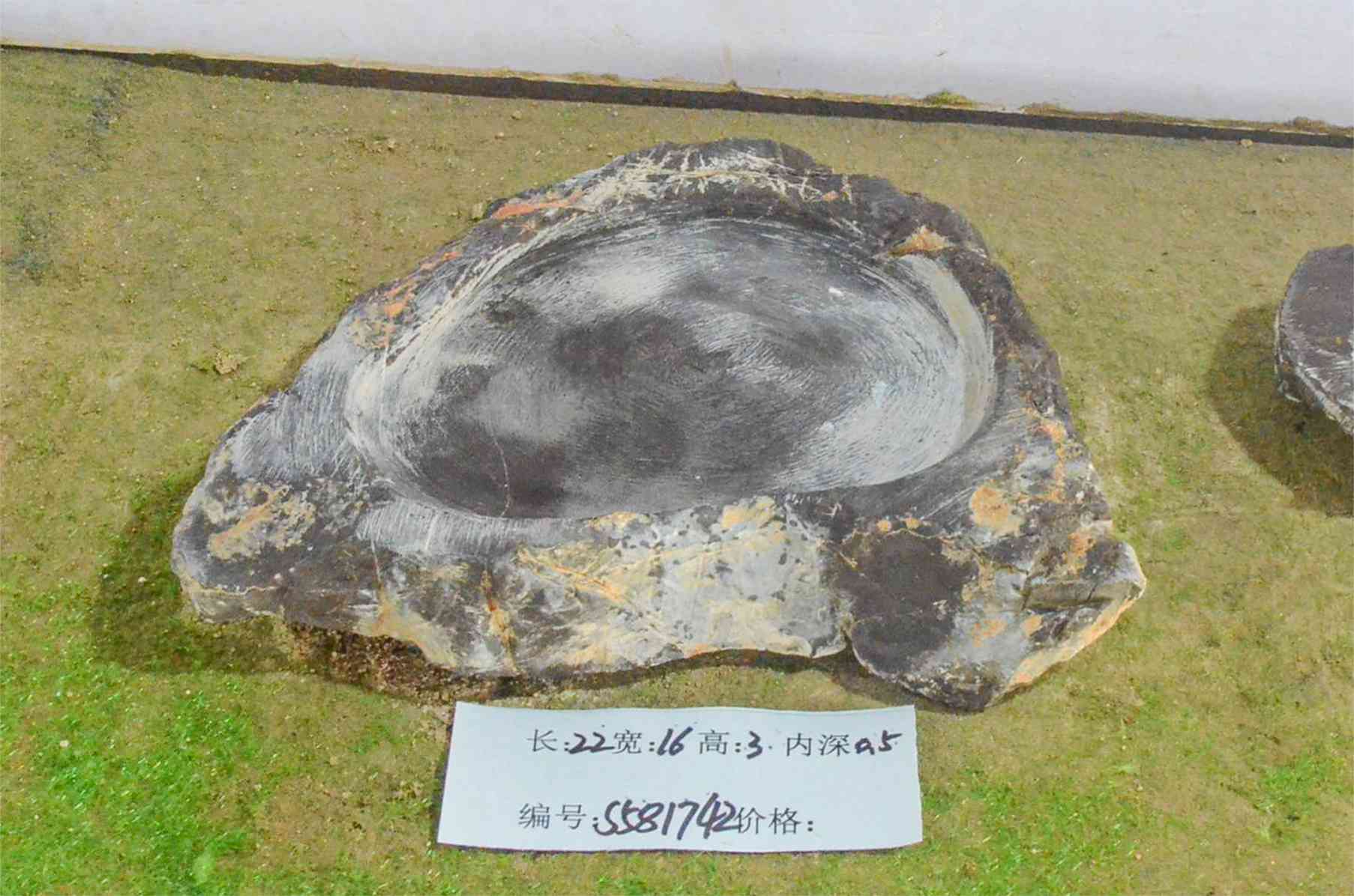 s581742