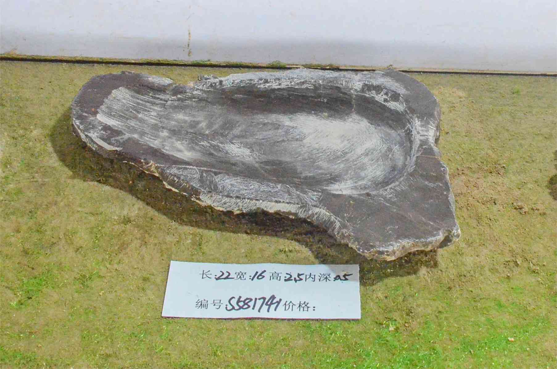 s581741