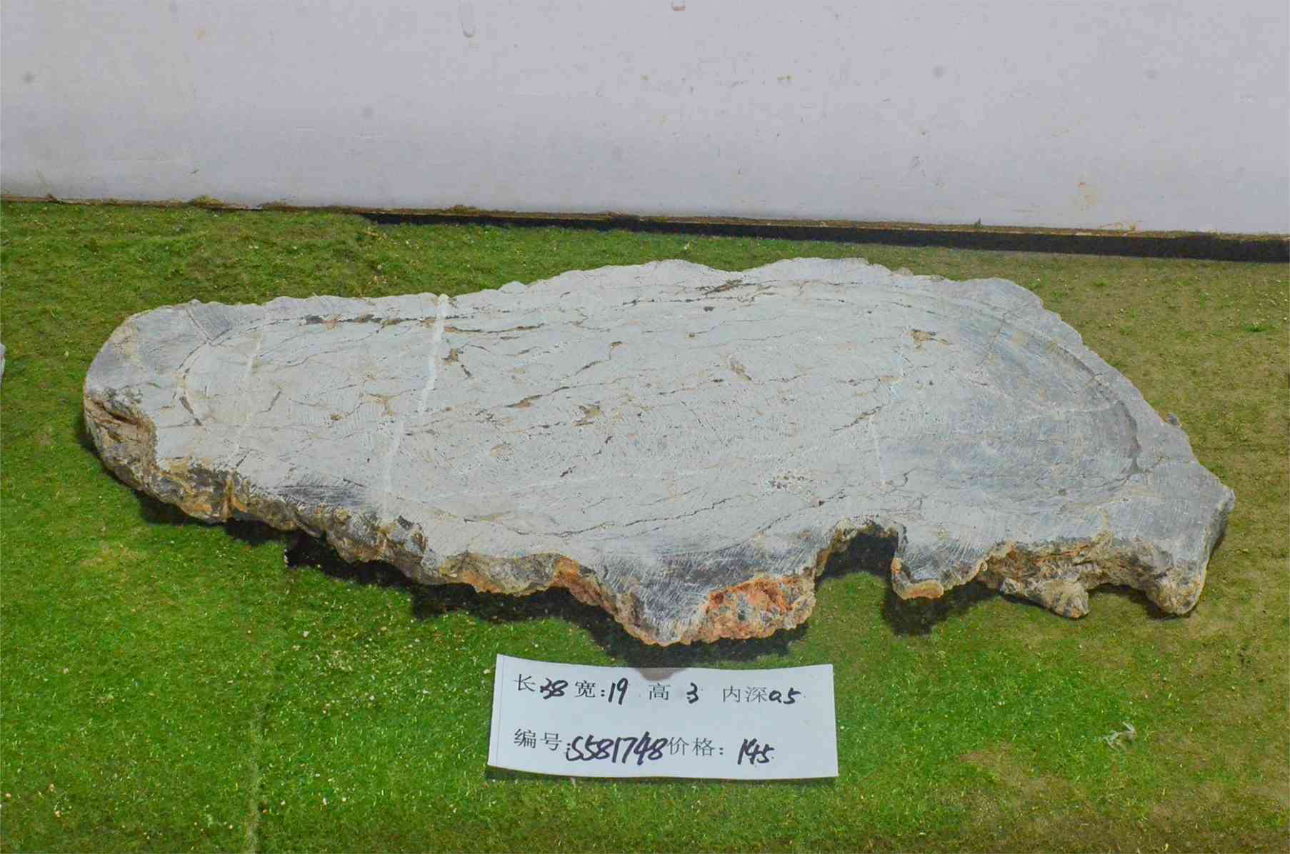 s581748