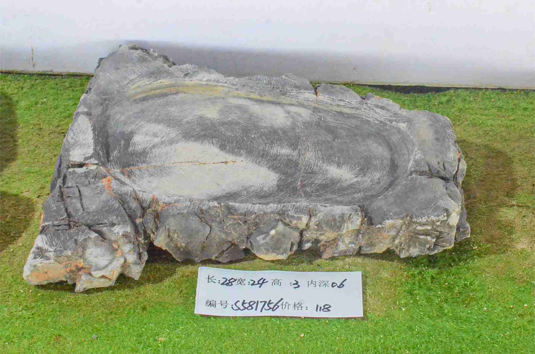 s581756